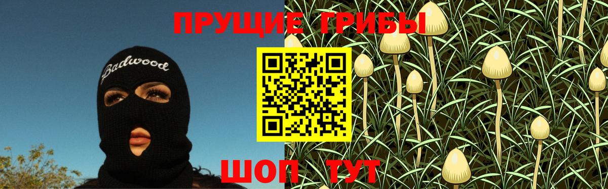 Галлюциногенные грибы Psilocybine cubensis Нурлат