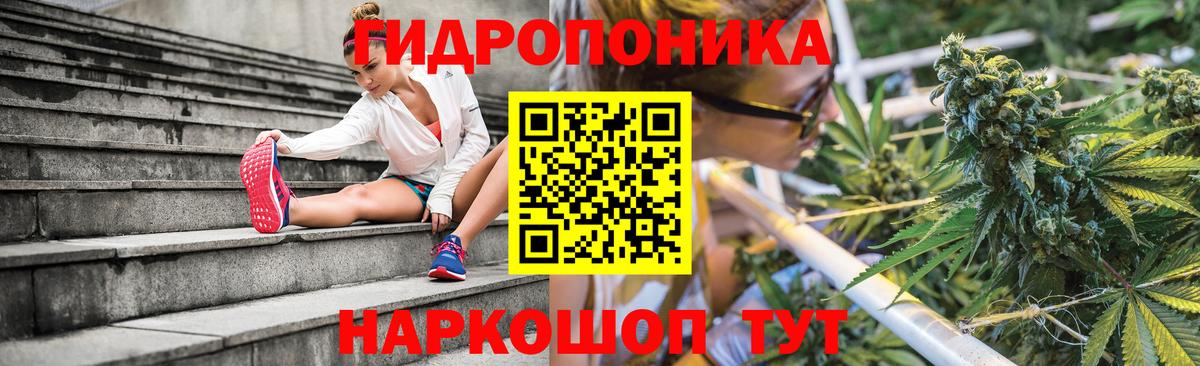 Бошки Шишки планчик  Каннабис индика  Нурлат  Бошки марихуана Ganja  Вход с VPN  Конопля OG Kush 
